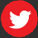 Farsi voice over twitter